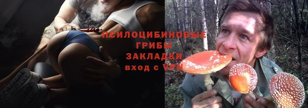 PSILOCYBIN Алексин
