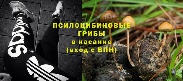 PSILOCYBIN Алексин