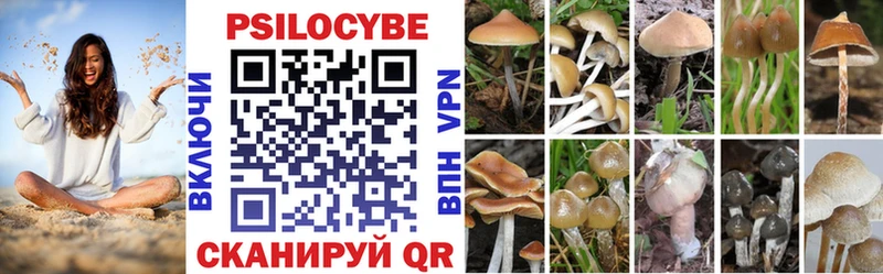 Купить закладки  Балашиха  Псилоцибиновые грибы Psilocybe 